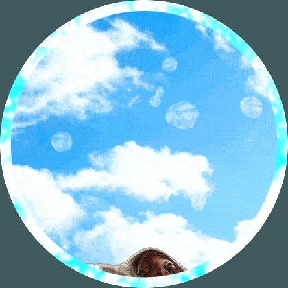 햅번 SOOP Live profile