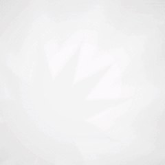 S2금화 SOOP Live profile