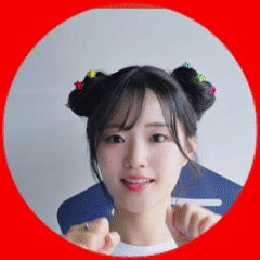 홍딩굴 SOOP Live profile