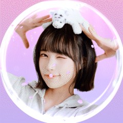 다라츄 SOOP Live profile