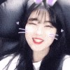빼꼼 SOOP Live profile