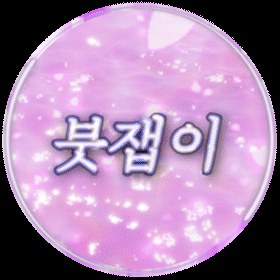 붓잽이 SOOP Live profile