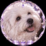 @수수 SOOP Live profile