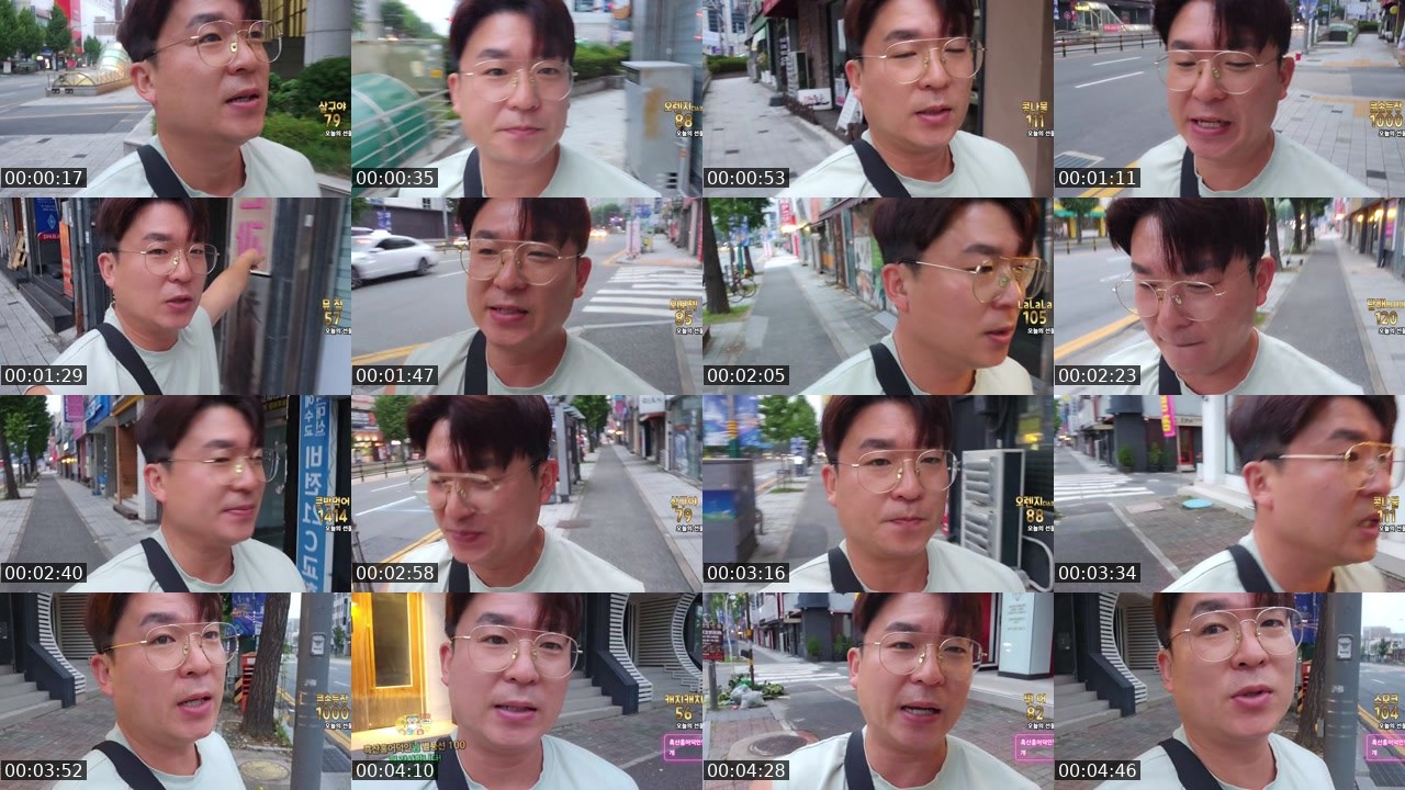 Contact-sheet preview of 차니。's SOOP Live recording