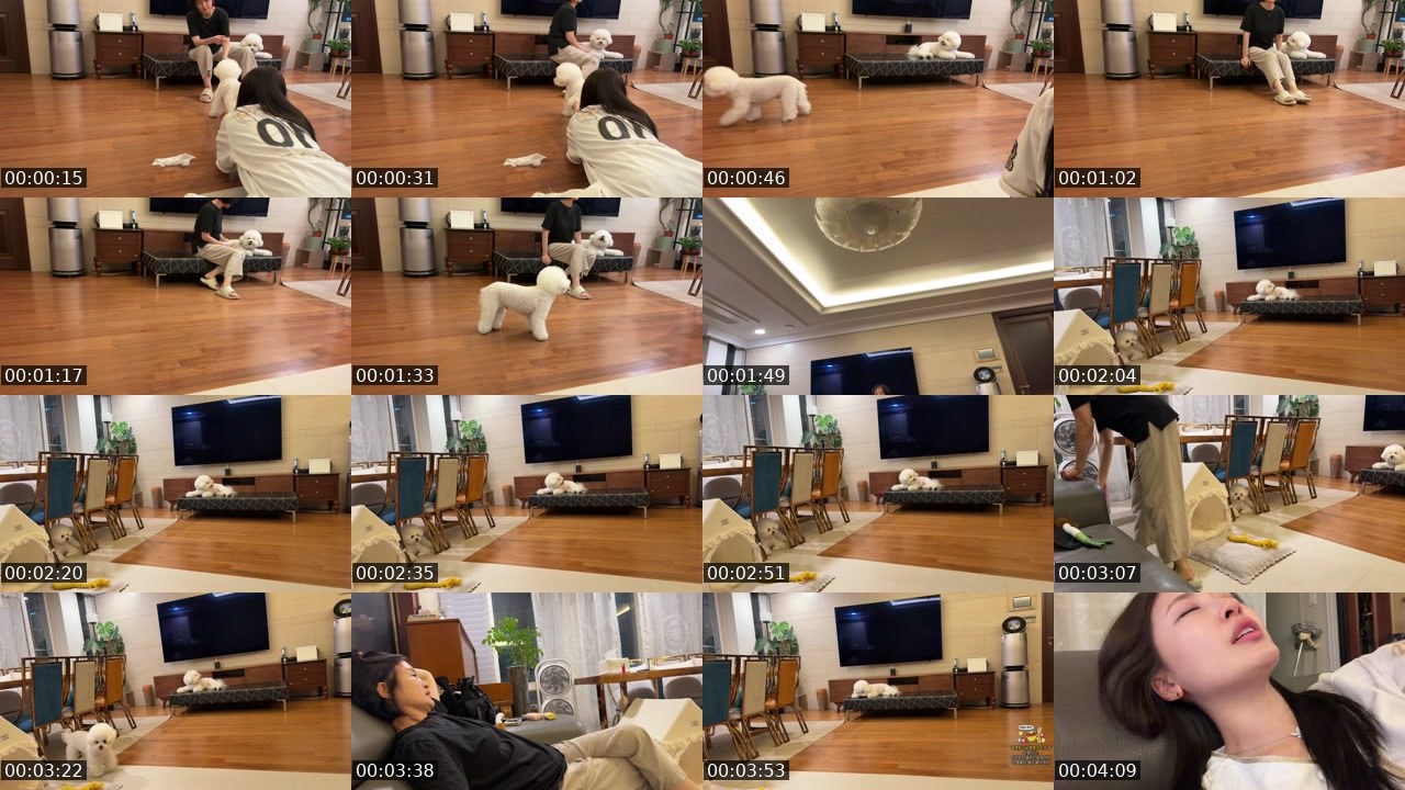 Contact-sheet preview of 양팡♥'s SOOP Live recording