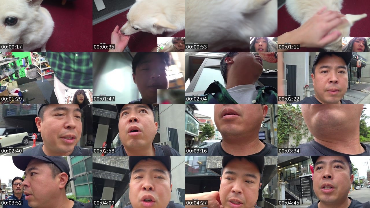 Contact-sheet preview of (-___-)갓쪼's SOOP Live recording