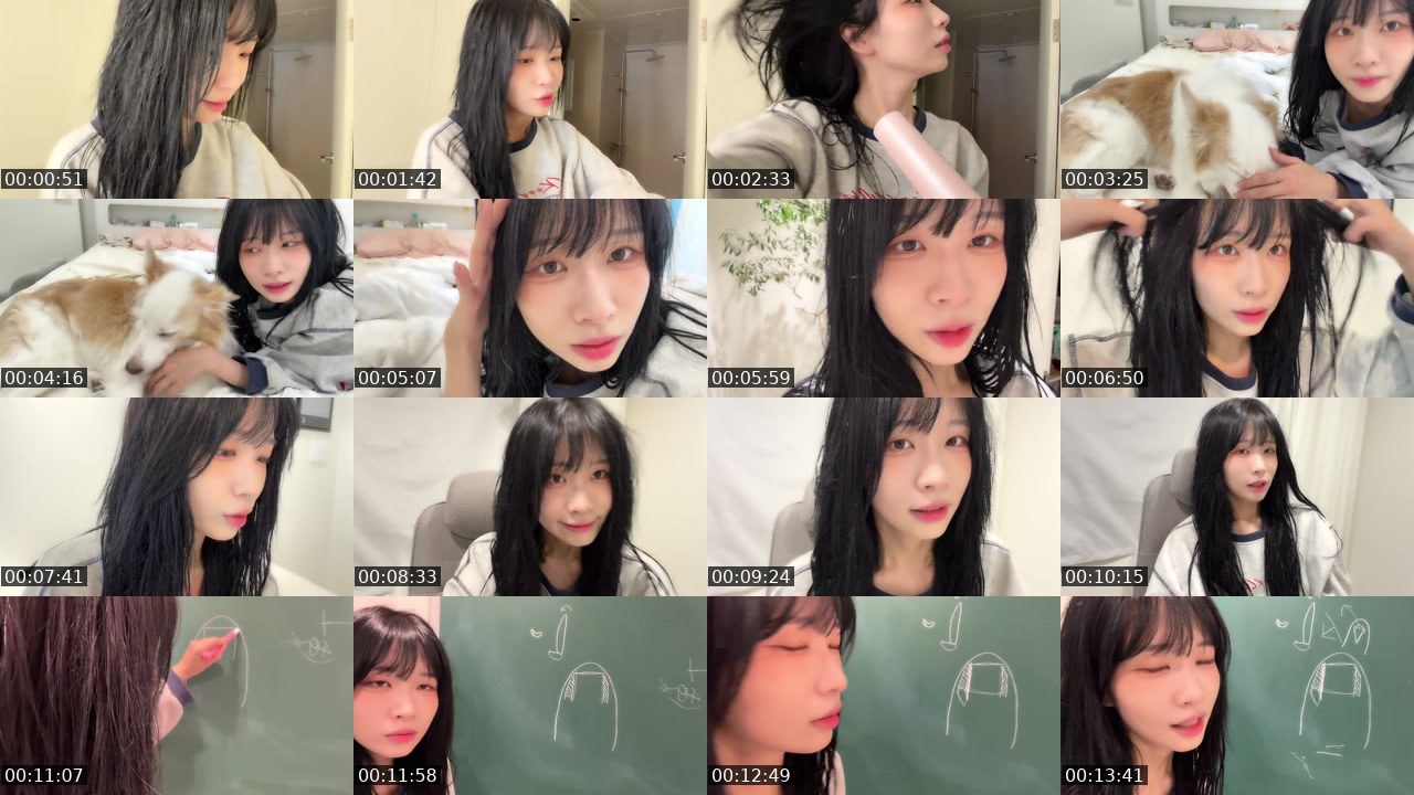 Contact-sheet preview of 아이밈.'s SOOP Live recording