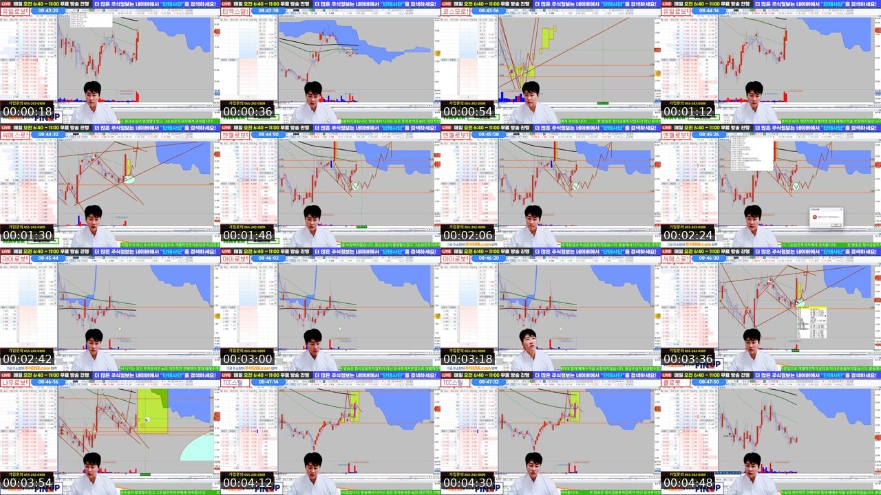 Contact-sheet preview of 주식단테대표's SOOP Live recording