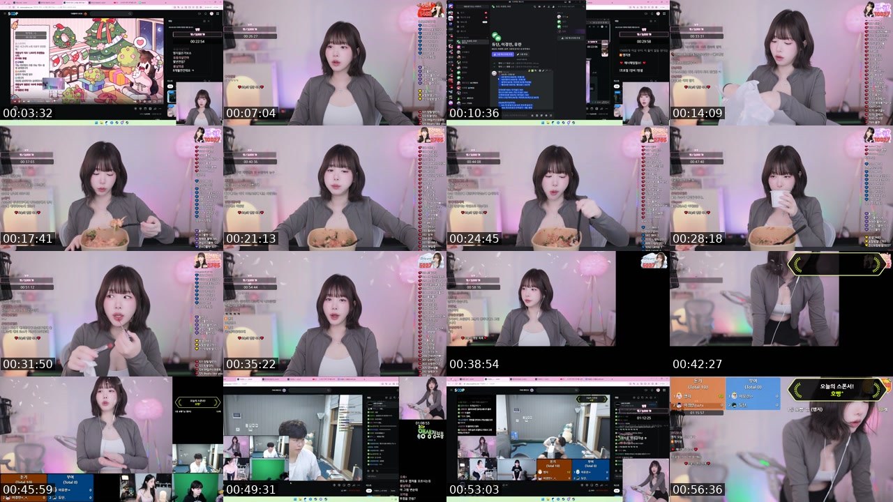Contact-sheet preview of 앵지's SOOP Live recording