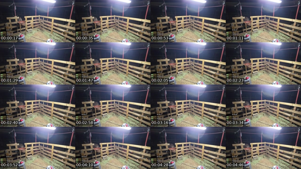 Contact-sheet preview of 길동92's SOOP Live recording
