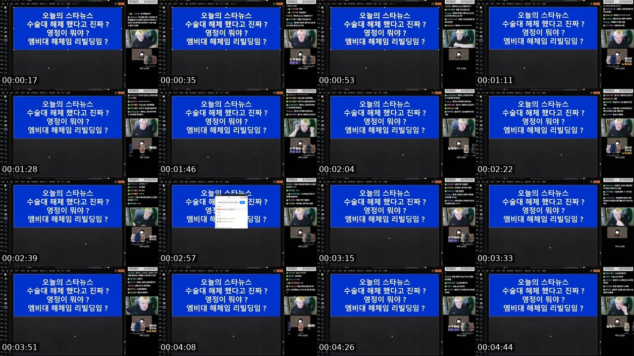 Contact-sheet preview of 김해피2's SOOP Live recording