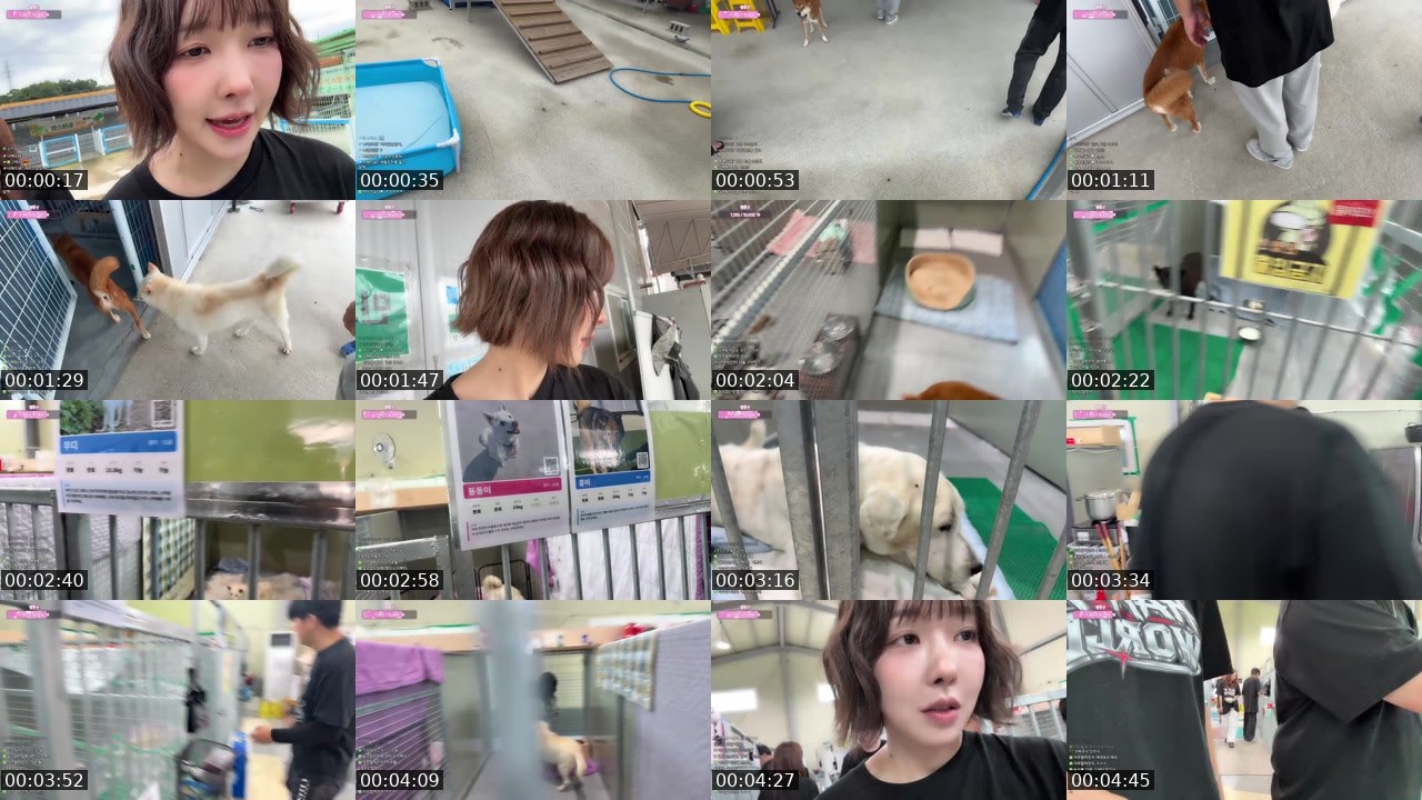 Contact-sheet preview of 향이+ㅁ+♥'s SOOP Live recording