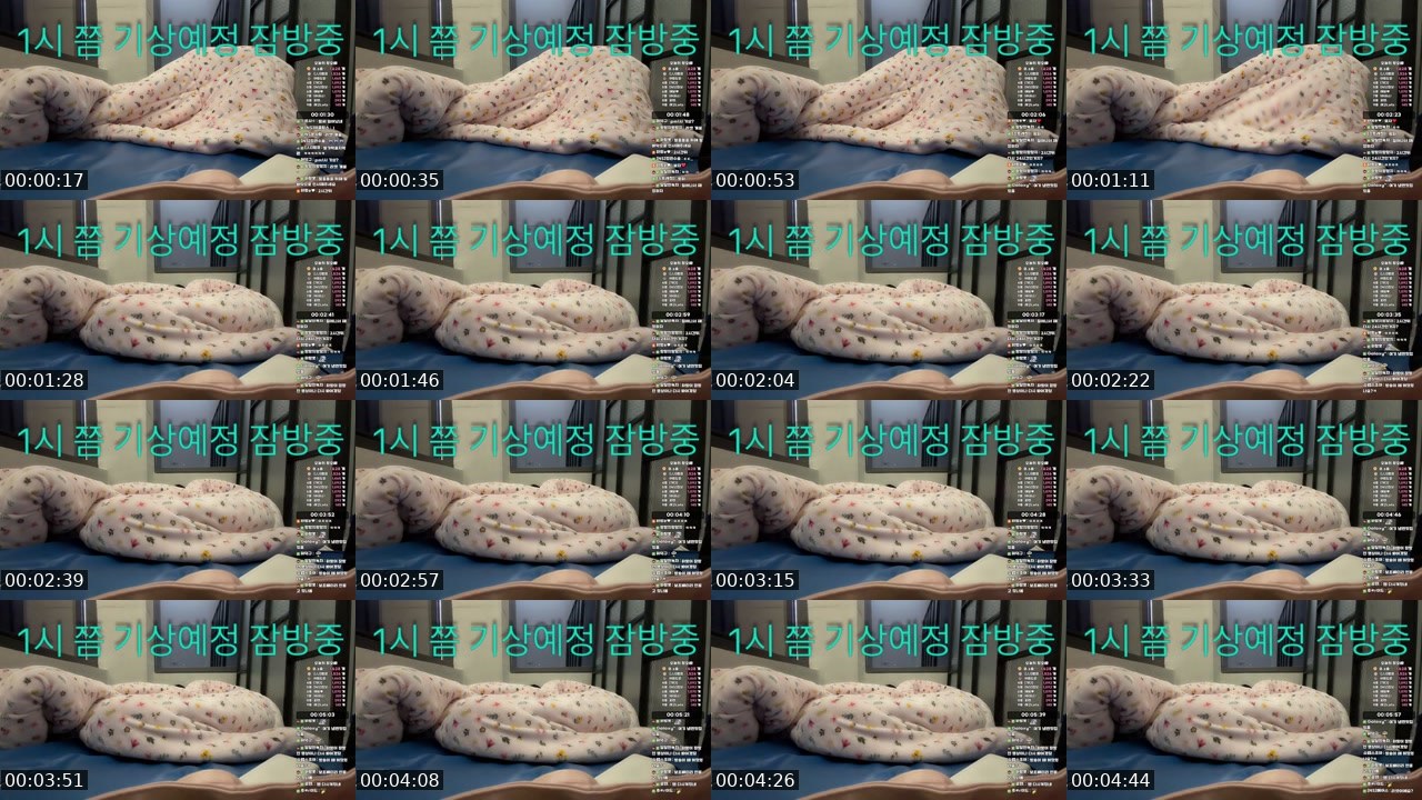 Contact-sheet preview of 하랑e♥'s SOOP Live recording