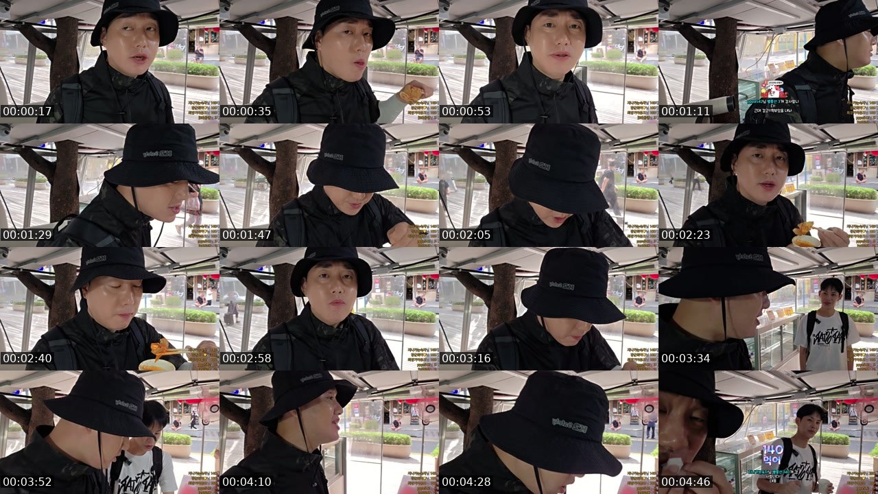 Contact-sheet preview of [갱상도강군]'s SOOP Live recording