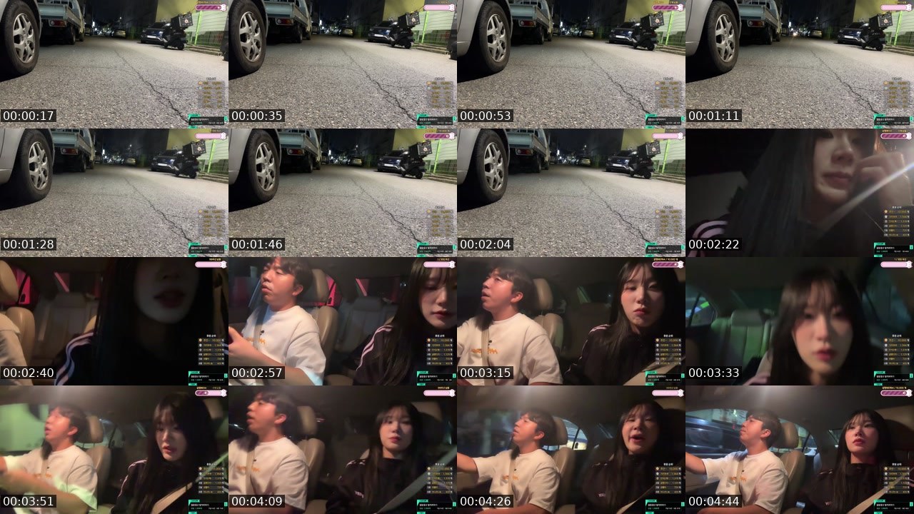 Contact-sheet preview of 그냥도담♥'s SOOP Live recording