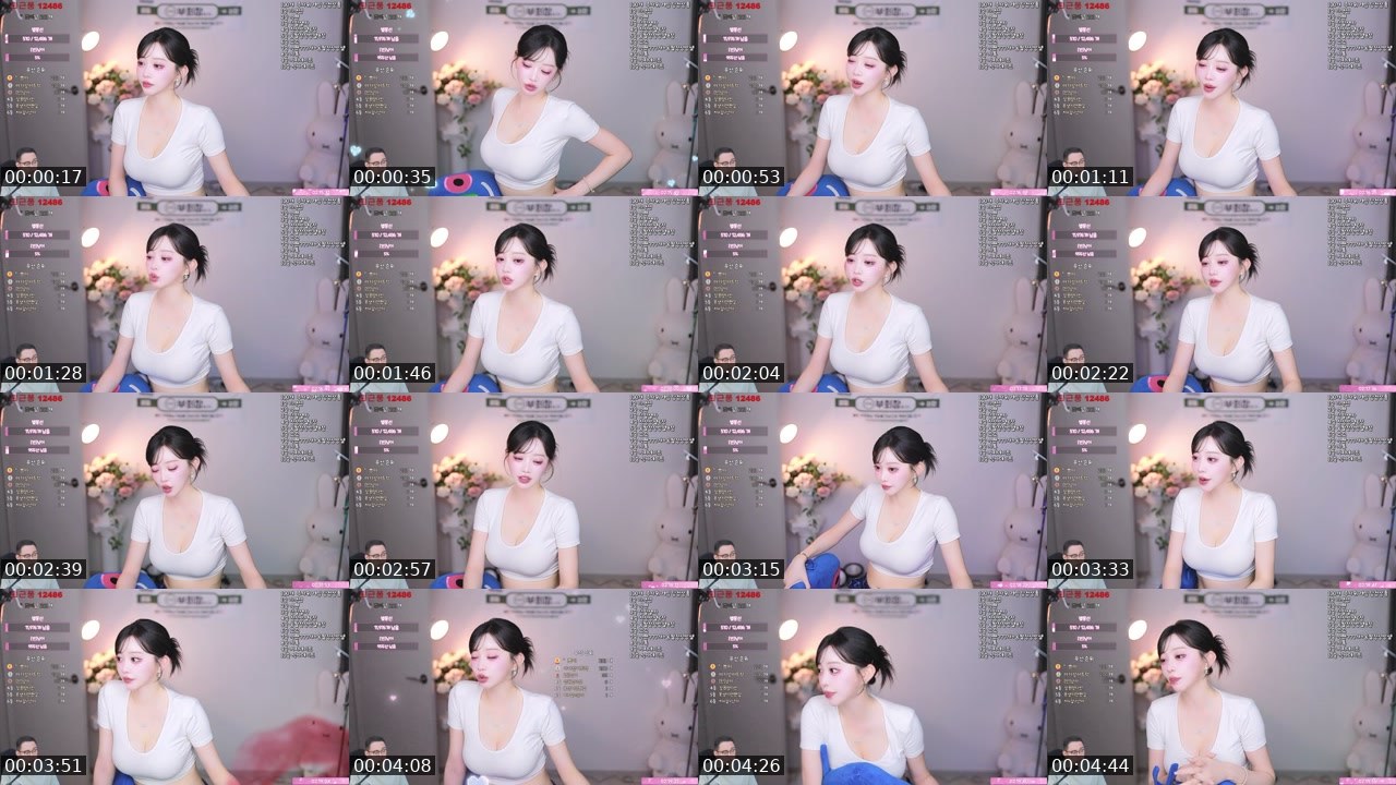 Contact-sheet preview of 찡찡다빈's SOOP Live recording