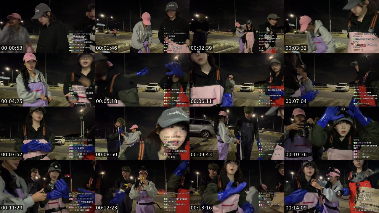 Contact-sheet preview of 이유란ㅇ's SOOP Live recording