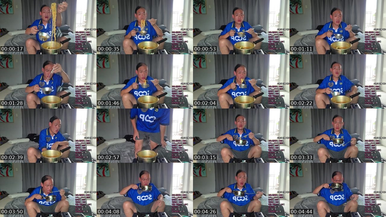 Contact-sheet preview of 개그맨이원구's SOOP Live recording