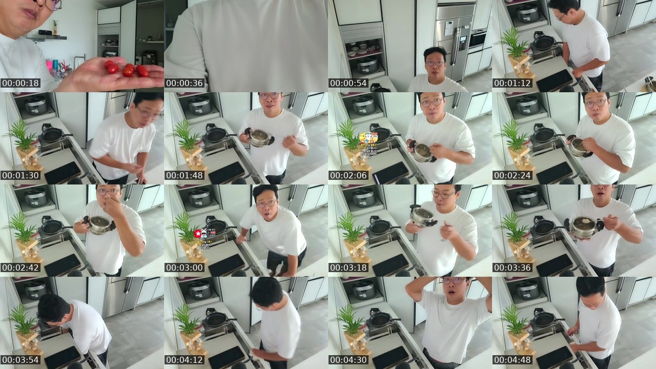 Contact-sheet preview of 개그맨박준형's SOOP Live recording