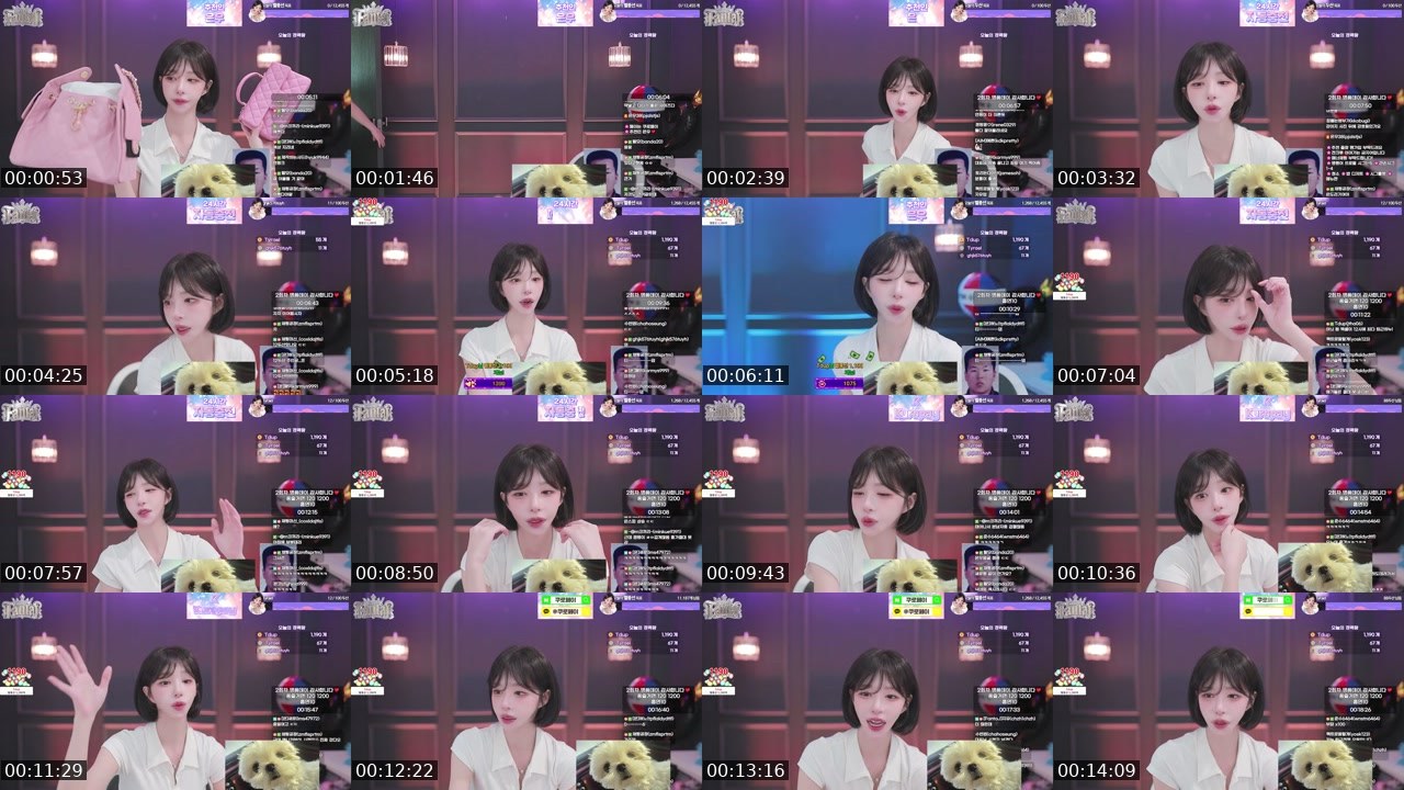 Cover for [판타지유:부장] 샤넬 감사방송 ><