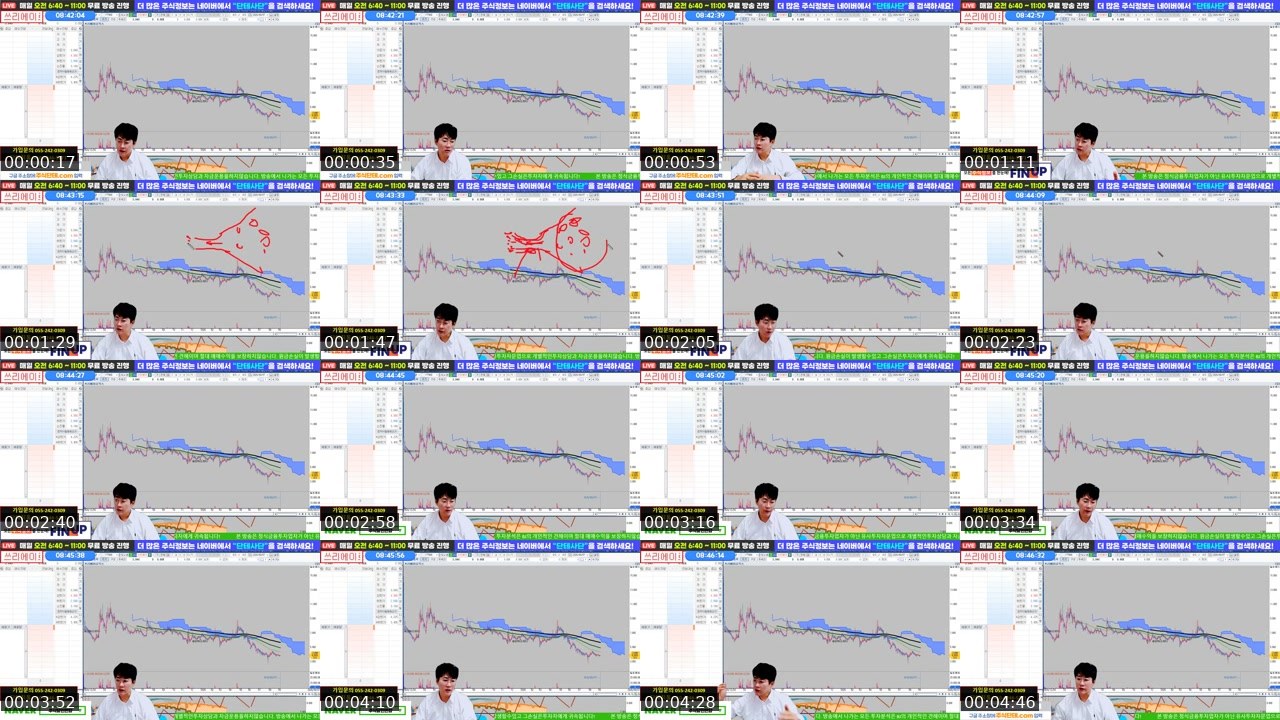 Contact-sheet preview of 주식단테대표's SOOP Live recording