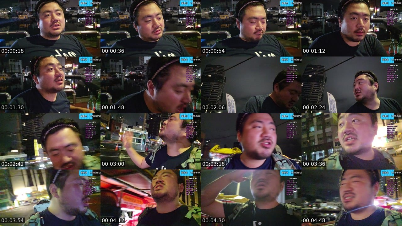 Contact-sheet preview of 보통아닌털보's SOOP Live recording