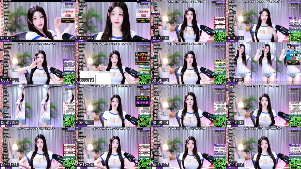 Contact-sheet preview of 붓잽이's SOOP Live recording