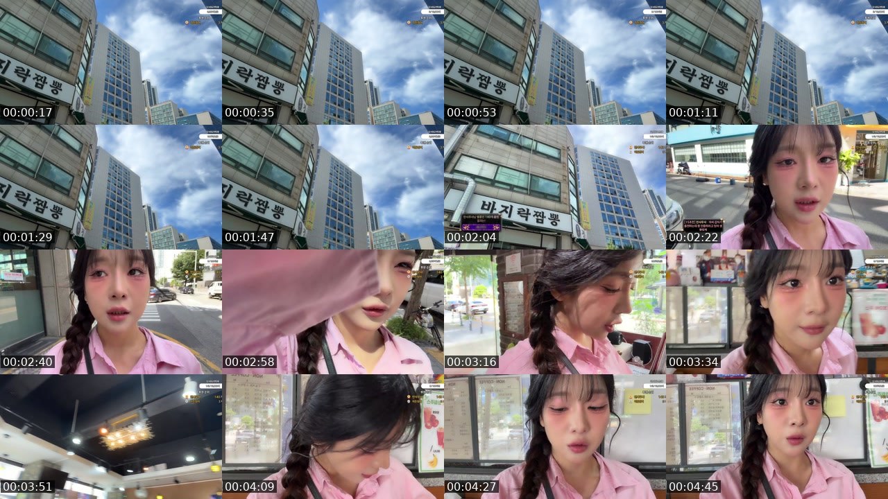Contact-sheet preview of 설레나♥'s SOOP Live recording