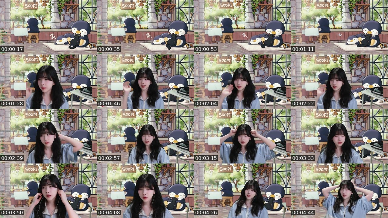 Contact-sheet preview of 수피's SOOP Live recording