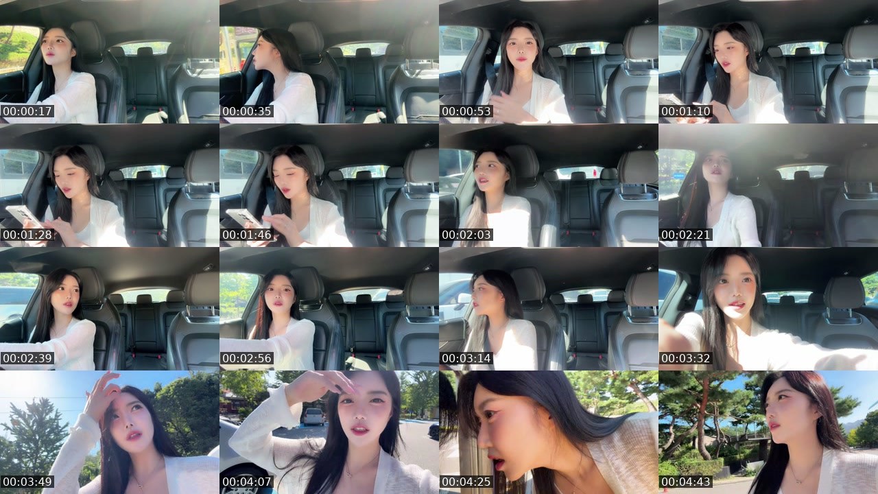 Contact-sheet preview of 채수연TV's SOOP Live recording