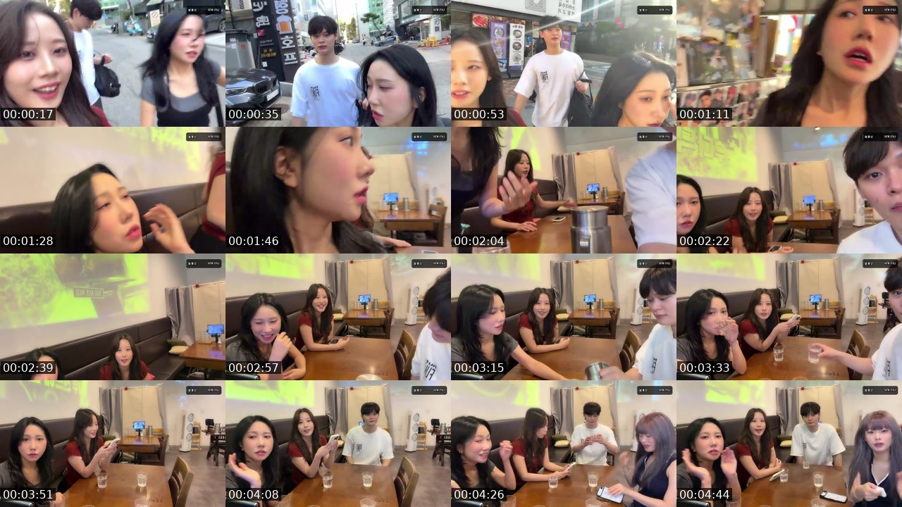 Contact-sheet preview of 2라니's SOOP Live recording