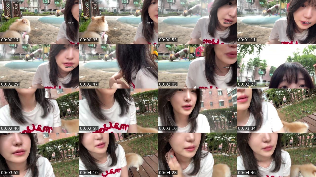 Contact-sheet preview of 짱다.'s SOOP Live recording