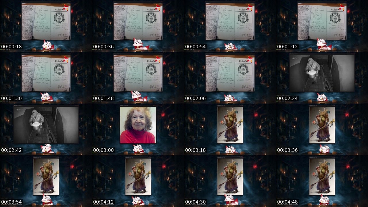 Contact-sheet preview of 화양씨's SOOP Live recording