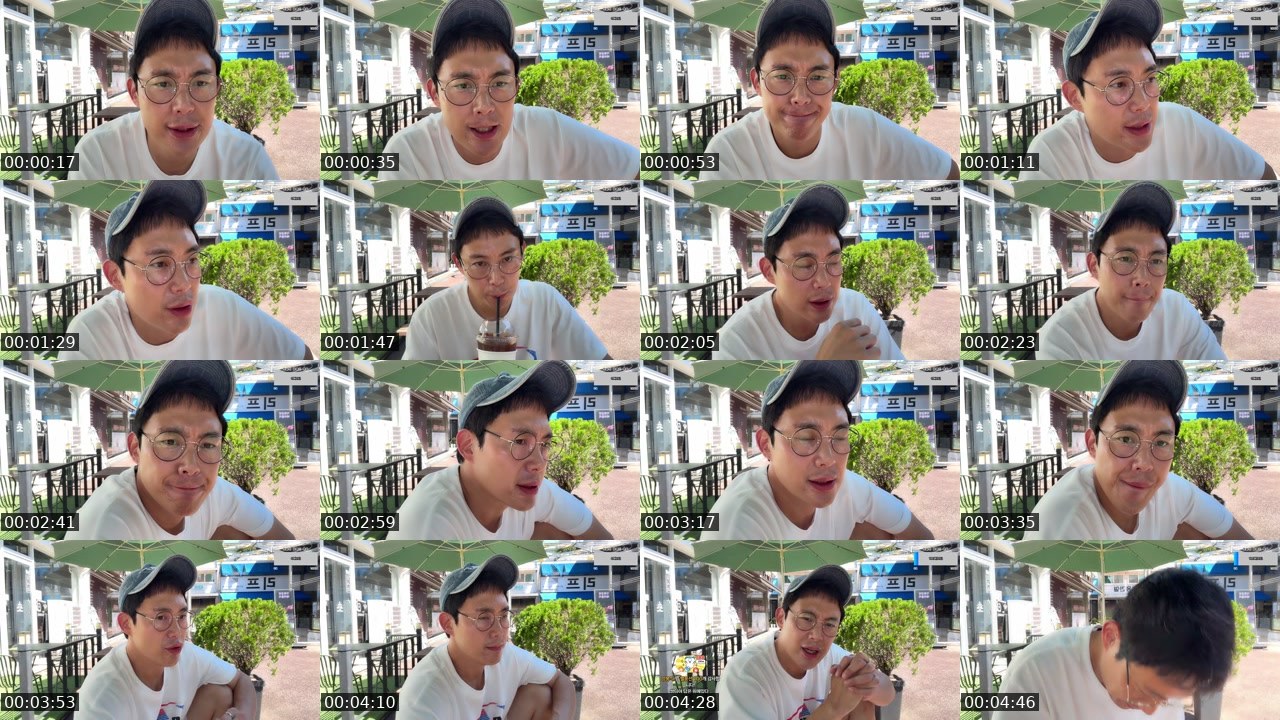 Contact-sheet preview of 유쾌쌍디풍디's SOOP Live recording