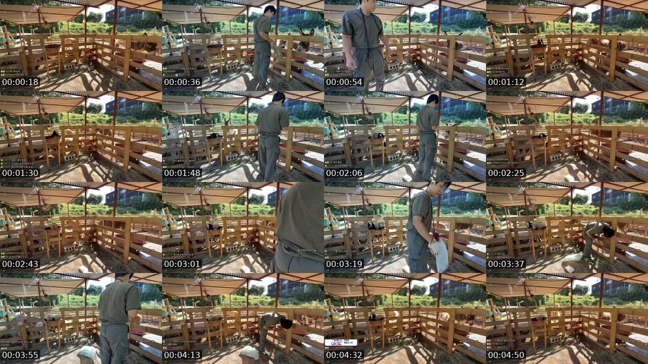 Contact-sheet preview of 길동92's SOOP Live recording