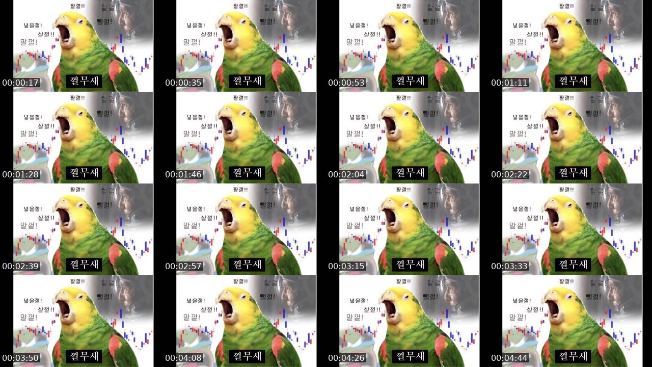 Cover for 오메킴 주식 월요일 불장 렛스고!! 뱀!! (하킁버핏)