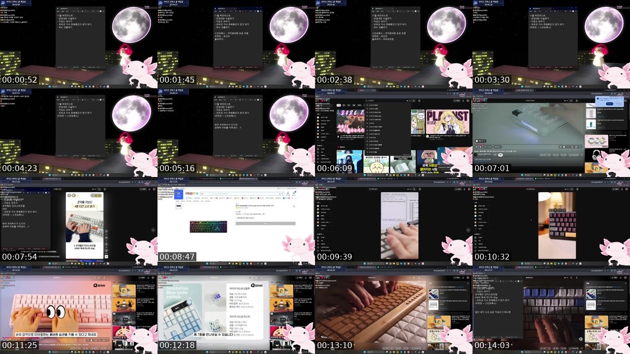 Contact-sheet preview of 화린쨩's SOOP Live recording