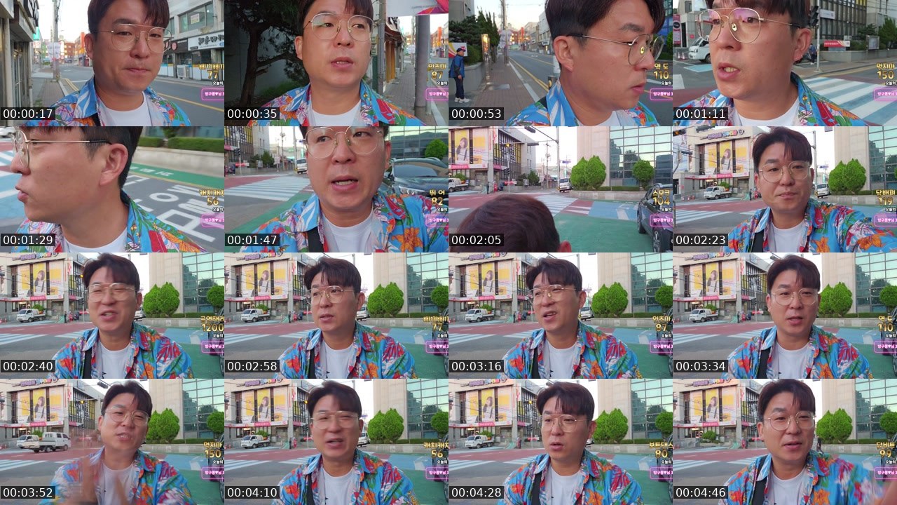 Contact-sheet preview of 차니。's SOOP Live recording