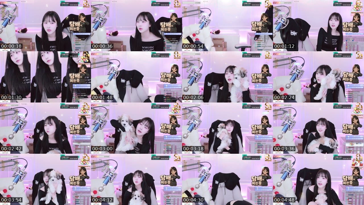 Contact-sheet preview of 찌미_♡'s SOOP Live recording