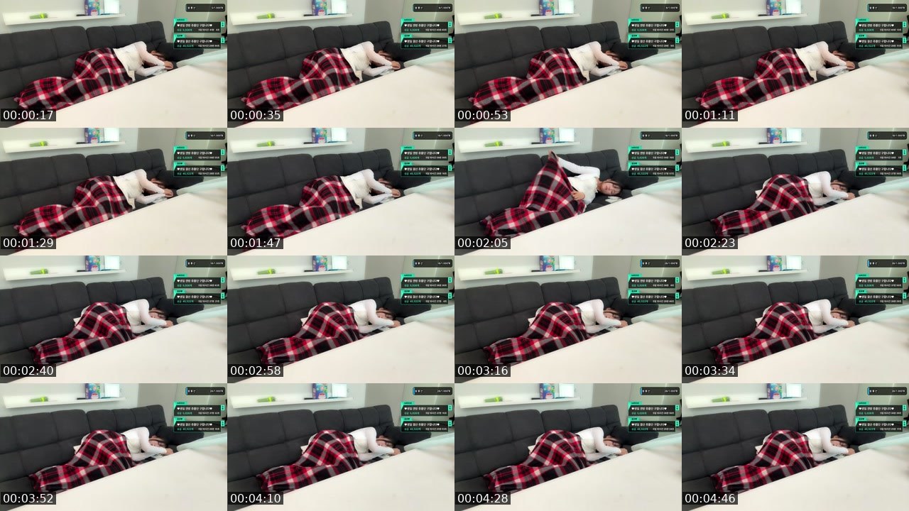 Contact-sheet preview of 홍쥬♥'s SOOP Live recording