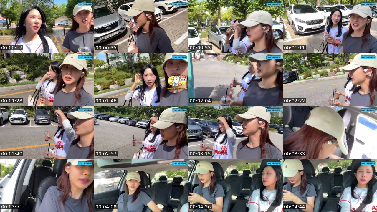 Contact-sheet preview of 2라니's SOOP Live recording