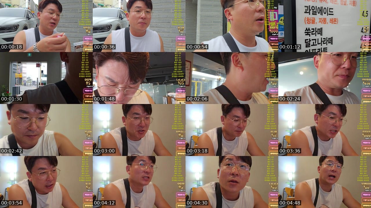 Contact-sheet preview of 차니。's SOOP Live recording