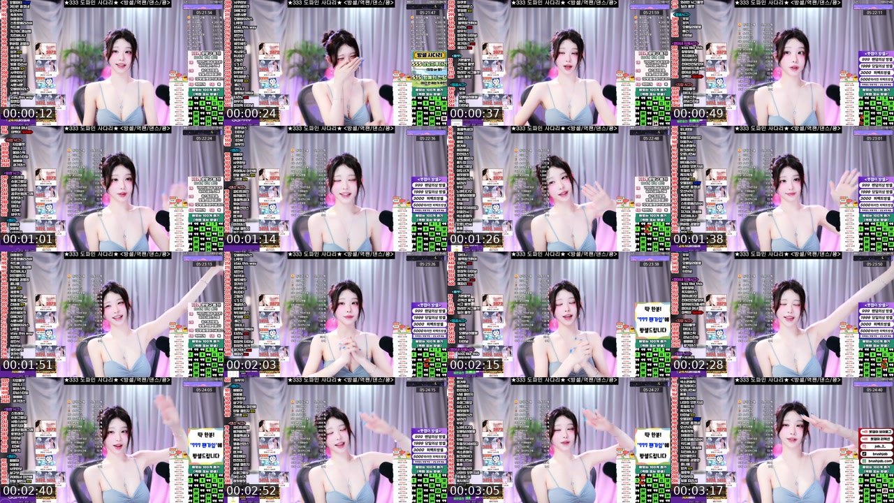 Contact-sheet preview of 붓잽이's SOOP Live recording