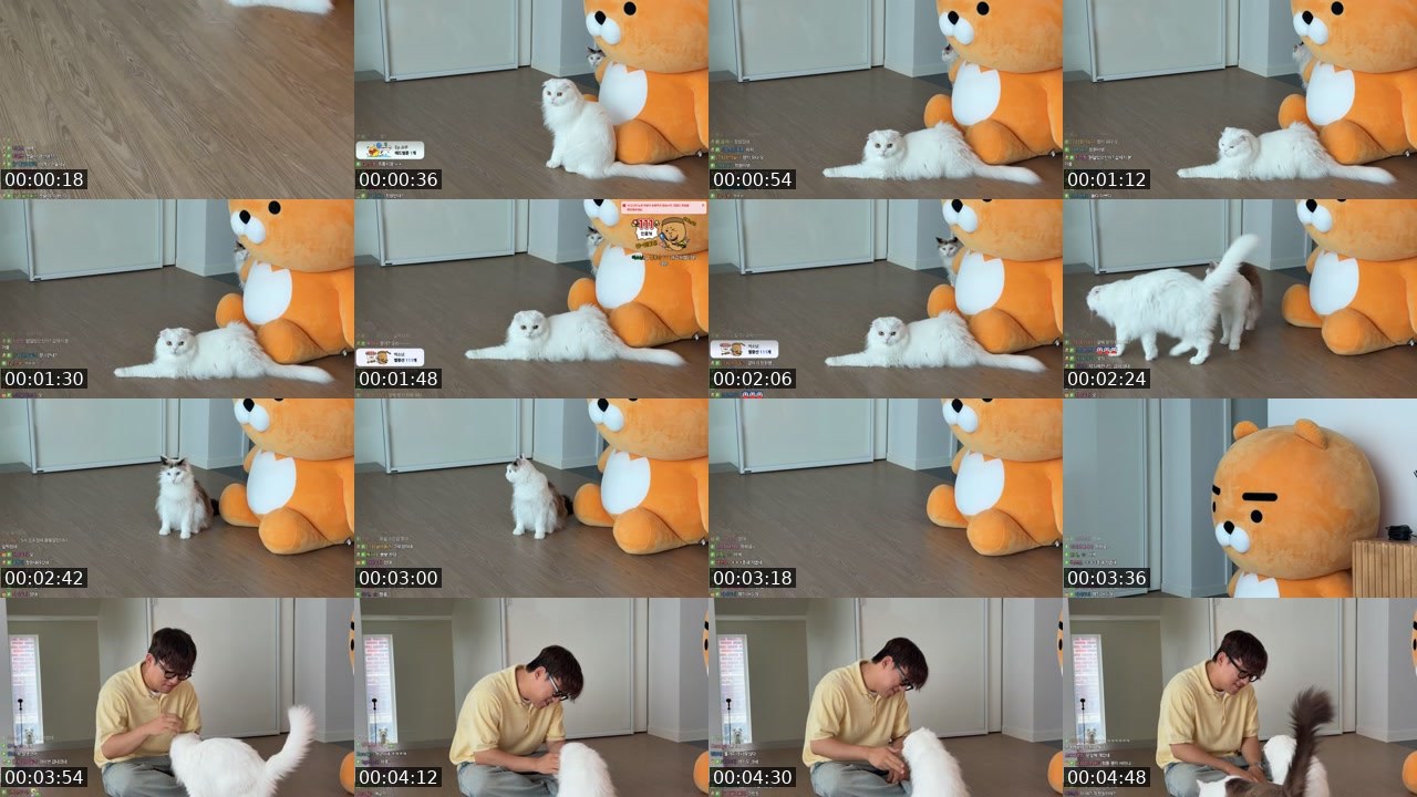 Contact-sheet preview of 기뉴다's SOOP Live recording