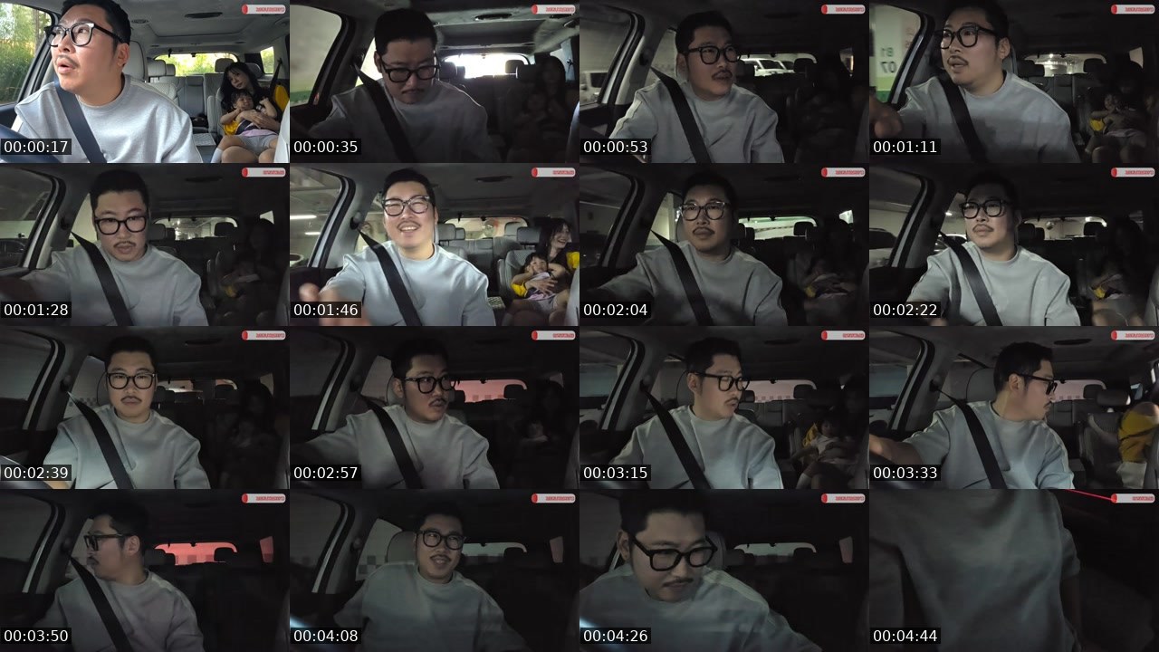 Contact-sheet preview of 류부남's SOOP Live recording