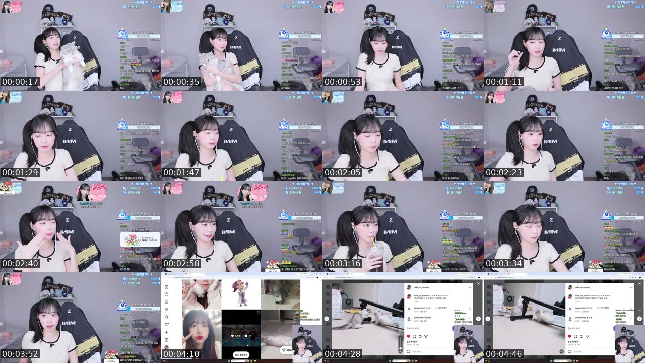 Contact-sheet preview of Fresh토마토's SOOP Live recording