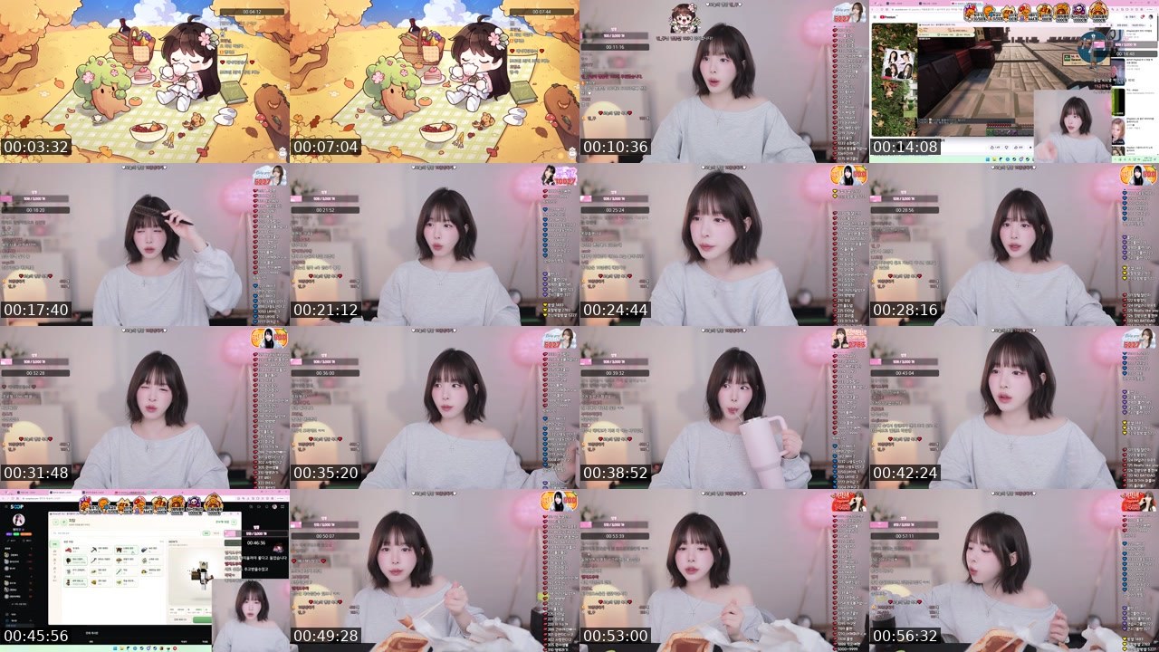 Contact-sheet preview of 앵지's SOOP Live recording