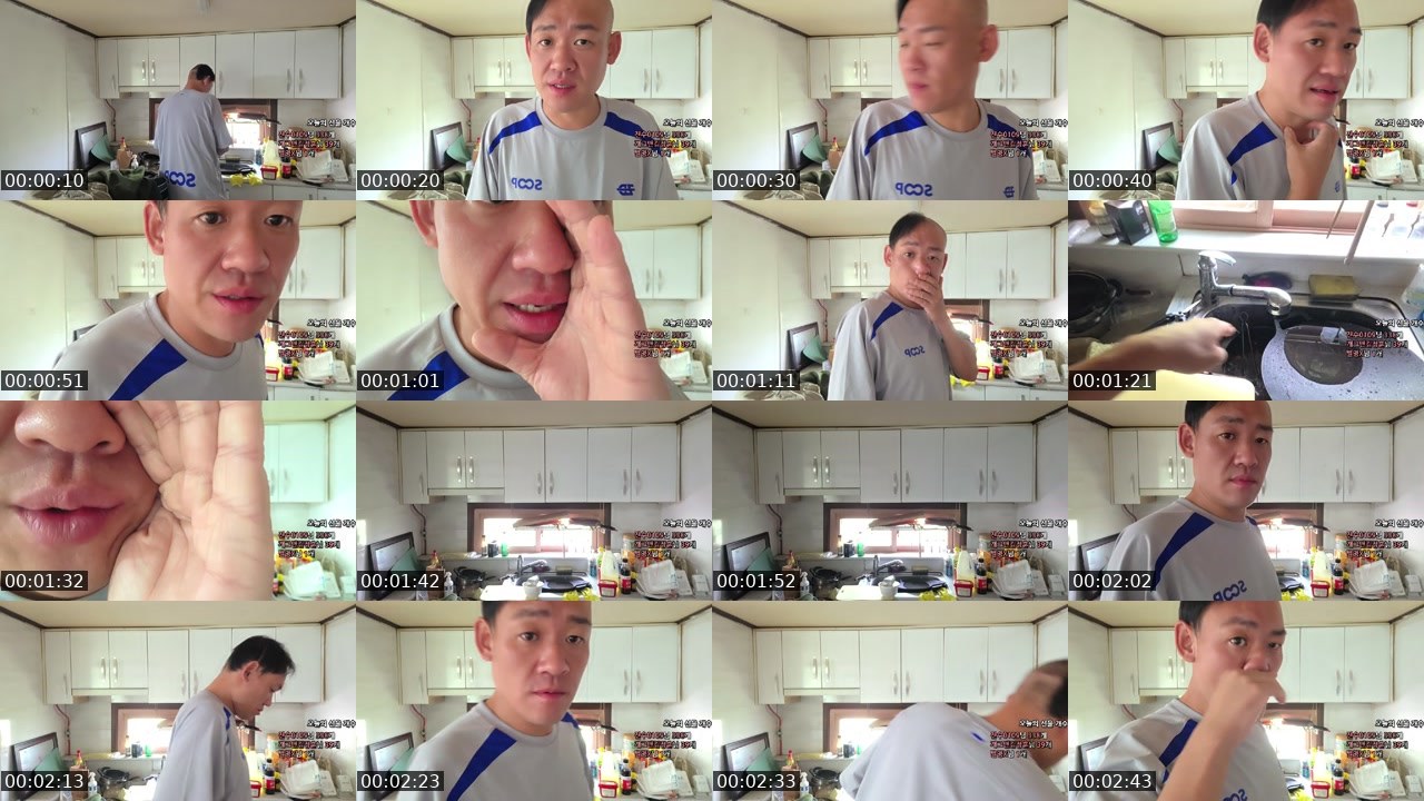 Contact-sheet preview of 개그맨이원구's SOOP Live recording