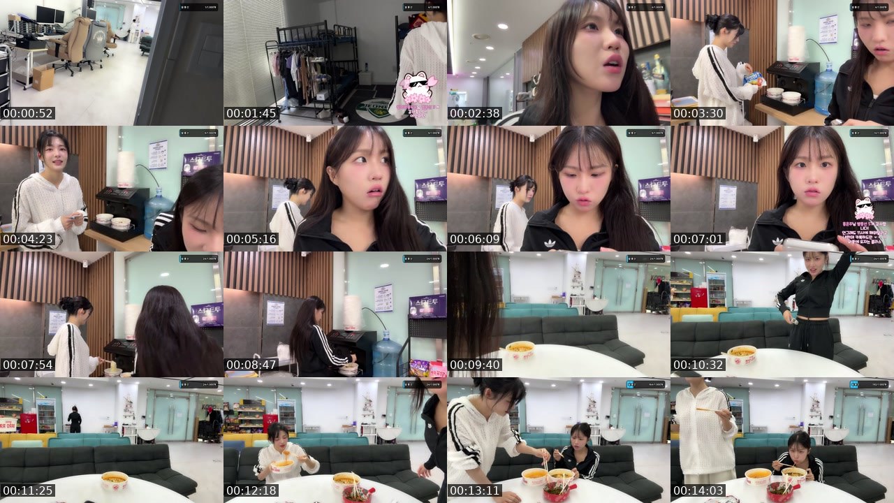 Cover for [최가네] 웅니들 빤니왕