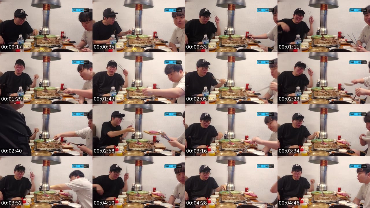 Contact-sheet preview of Action김성대's SOOP Live recording
